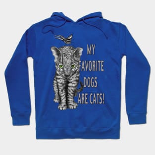 My Favorite Dogs are Cats Hoodie